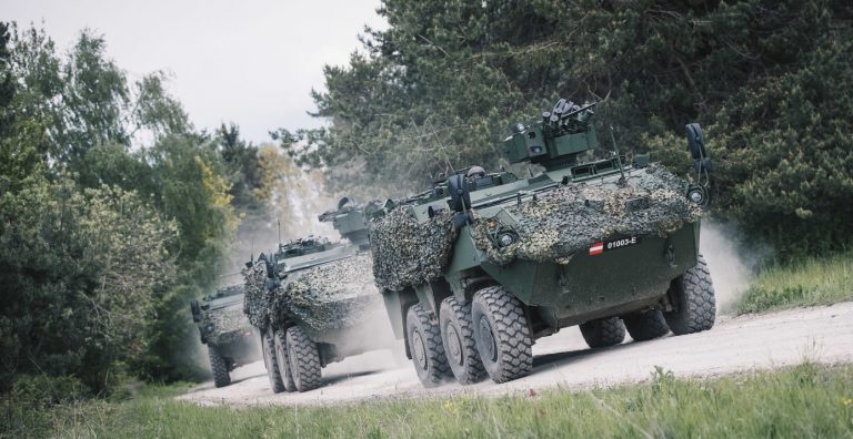 Steyr Bild